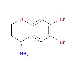 BV97039