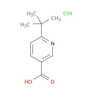 AY07784