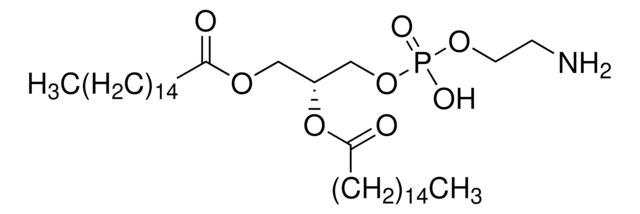 P1348
