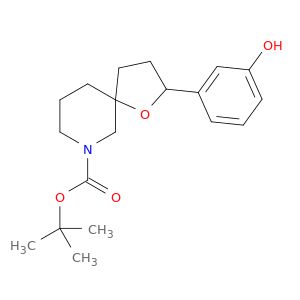 AY01663
