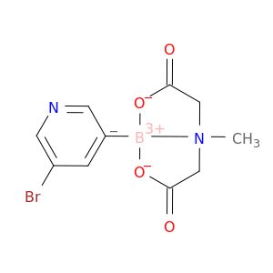 BA57081