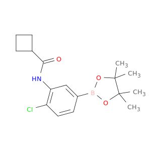 AN00995