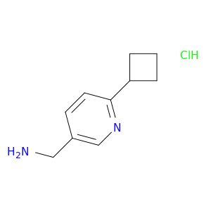 BM25099
