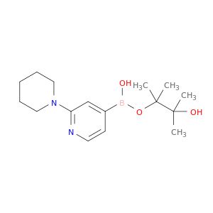 AW48591