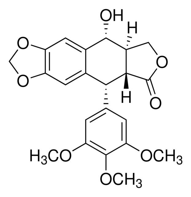 Y0002002