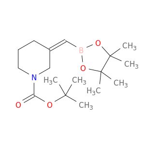 BL80999