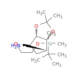 AE35558