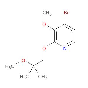 BM55206