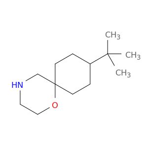 BM11417