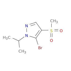 BU09681