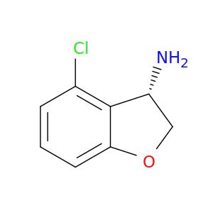 AE65586