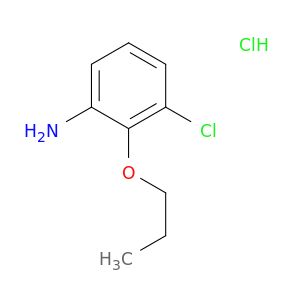 AI88537