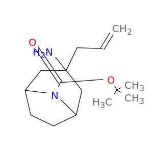 AY02524