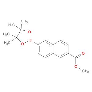 AR005CNQ