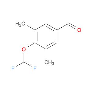 AR005859