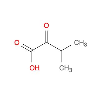 AR0034G2