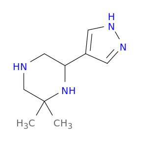 BM55247