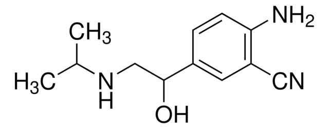 32568