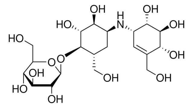 32347