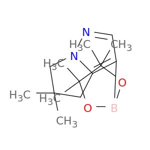 AY08904