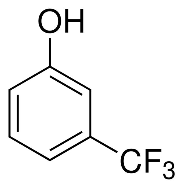 156035