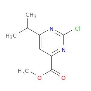 BM24446