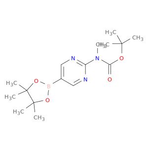 AY21269