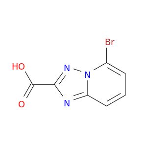 BZ98907