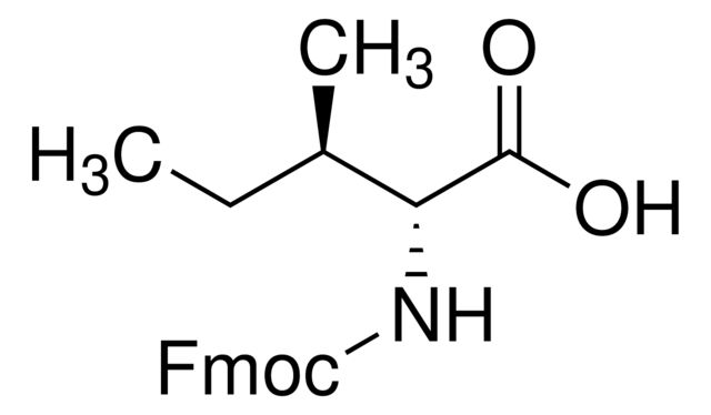 16905