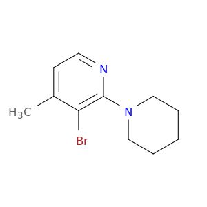 BM19251
