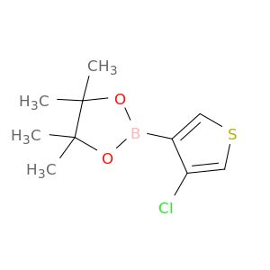 BL78741