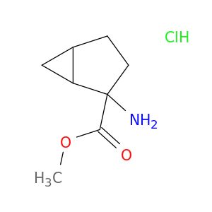 AY04256