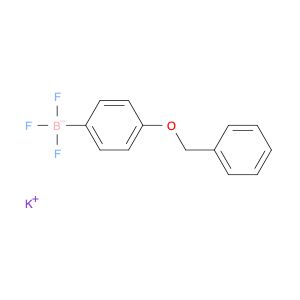 AR004PZ5