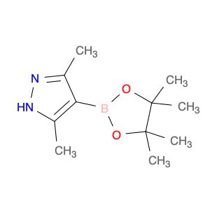 AR00348P