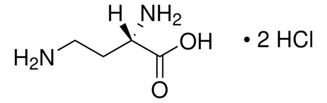 32830