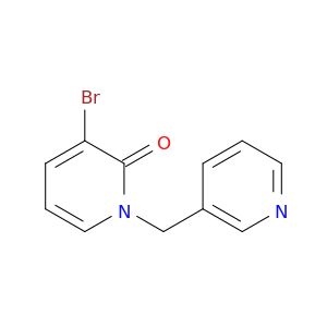 BM24911
