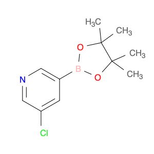 AR004QI1