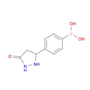 AR008E5I