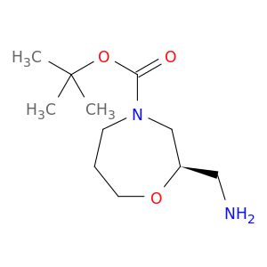 BM56683