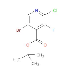 BL68461