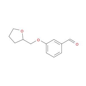 AR016XS8