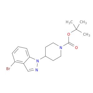 BM19891