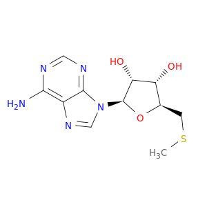 AB24997