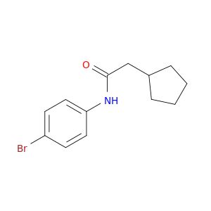 BS05613