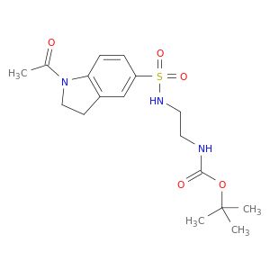 BE10919