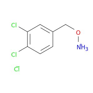 AD51557
