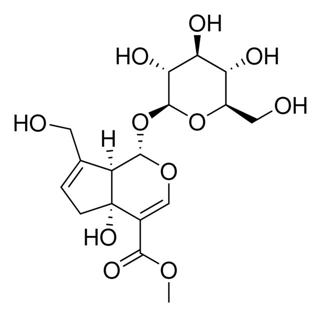 SMB01030
