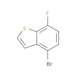 BL04058