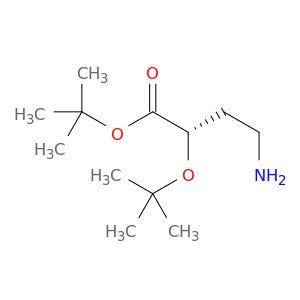 BO52484