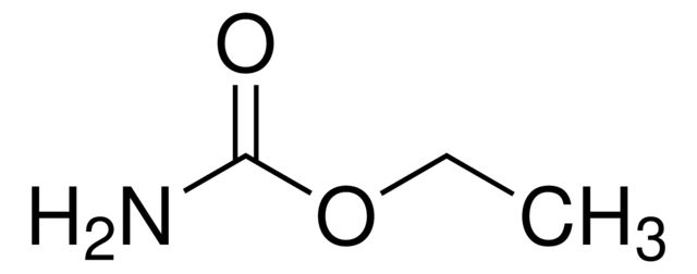 94300